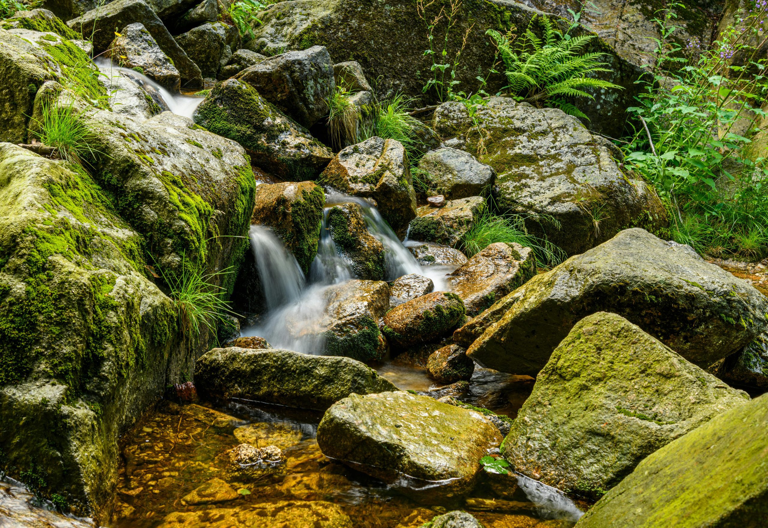 The Truth About Spring Water Is It Better